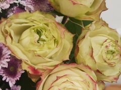 -隅乐胡椒虾·台湾菜·团建(皇岗店)