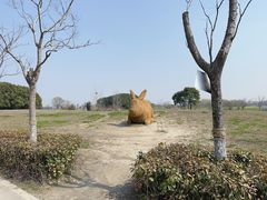 -嘉北郊野公园