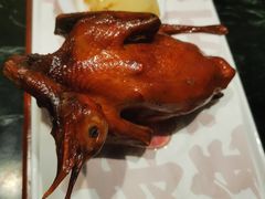 红烧乳鸽-大鸽饭(北京路店)