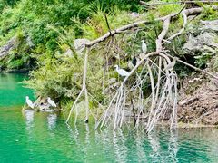 -楠溪江风景名胜区