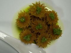-万豪中餐厅·粤菜·北京粤财JW万豪酒店