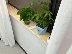 -牙博士口腔品牌连锁(杨浦店)