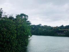 -河川生态园