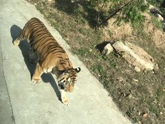 -西安秦岭野生动物园