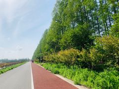 -上海长兴岛郊野公园