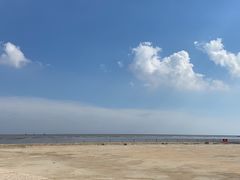 -奉贤海滩
