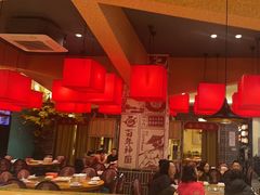 -百年神厨·地道川菜(紫荆店)