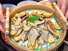 -蘑界·野生菌火锅(深业上城店)