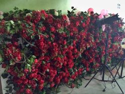 -戛纳印象摄影(潮拍定制馆)