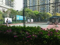 android_upload_pic-快网网球俱乐部(徐汇爱建园店)