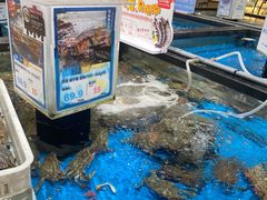 -盒马鲜生(联投广场店)