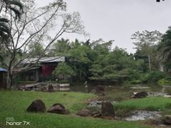 -红色娘子军纪念园