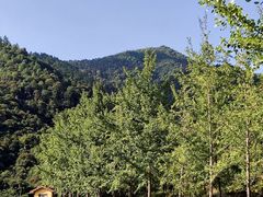 -大余丫山旅游度假区