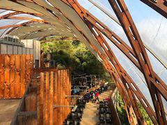 -怀托摩萤火虫洞