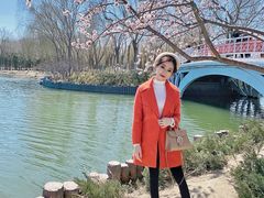 -大兴滨河森林公园