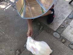 -欢乐松鼠谷