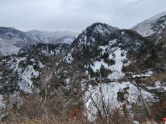 -朱雀国家森林公园