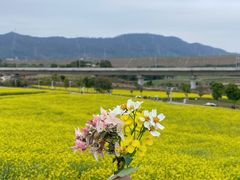 -光明小镇欢乐田园