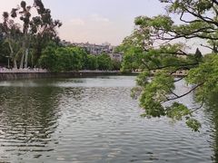 -翠湖公园