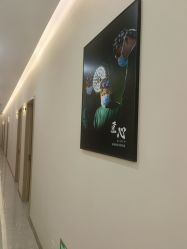 -禾美嘉医疗美容
