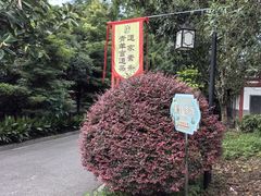 -青羊宫
