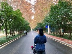 -河南省黄河迎宾馆