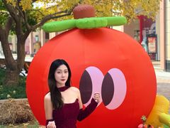 -王府井奥莱临潼小镇(临潼店)