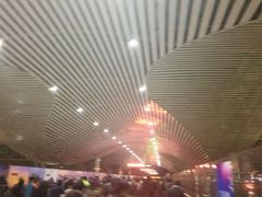 -合肥火车站(地铁站)