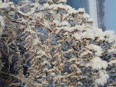 android_upload_pic-雾凇岛