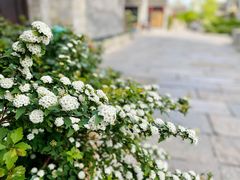 -回龙窝历史文化街区