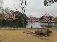 -新江湾城公园