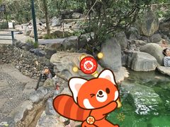 -湖泉半山温泉