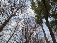 -长广溪湿地公园