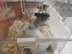 -三旗百汇商品城