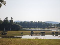 -春花秋色城市公园