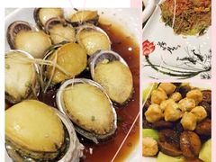 -新世纪大酒楼·30年南海菜