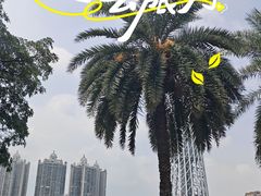 -海心沙亚运公园