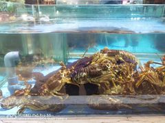 -旺顺阁海鲜广场(亚运村店)
