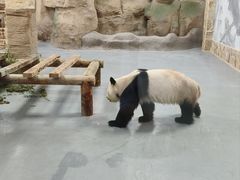-无锡动物园·太湖欢乐园
