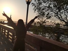 -宝安西湾红树林湿地公园