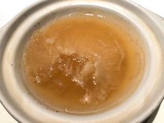 -新同乐鱼翅酒家(美丽华店)