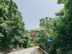 -宁波浙东大竹海景区