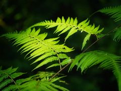 -白鹭湾湿地公园