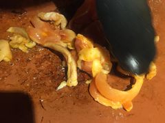 -碳说品道.瓦片烤肉.海鲜烧烤(中华路店)