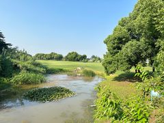 -银涛高尔夫练习场(徐泾店)