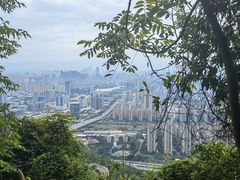-鼓岭旅游度假区