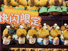 -首开·龙湖成都西宸天街