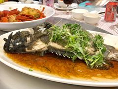 -海港酒家(上水新丰店)