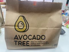 -油梨树AVOCADO TREE(嘉里中心店)