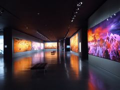 -罗红摄影艺术馆